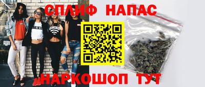 дмт Обь