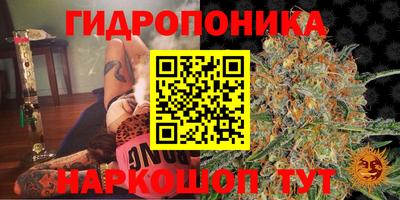 трава Обнинск