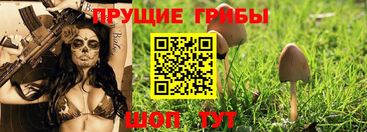 Псилоцибиновые грибы GOLDEN TEACHER  Вход с VPN  Советский 